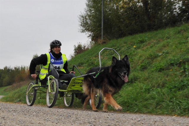 Rennen Weinfelden